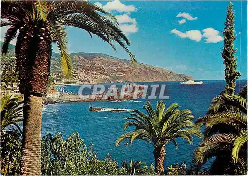 Cartes postales moderne Funchal madeira vue orientale