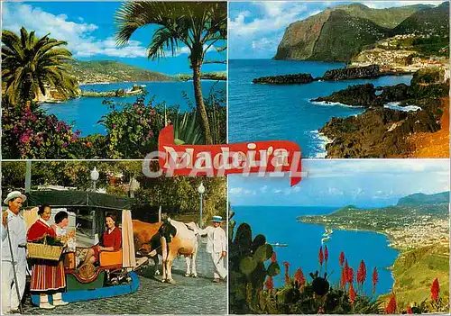 Cartes postales moderne Madeira les meilleures de madere