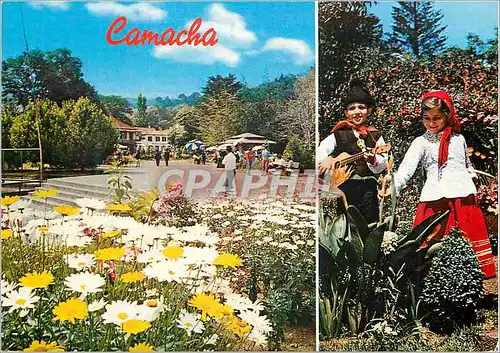 Cartes postales moderne Madeira place conselheiro aires d ornelas camacha