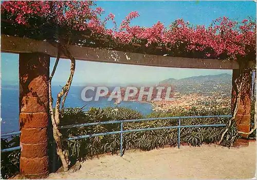 Cartes postales moderne 599 madeira vue du funchal part oest