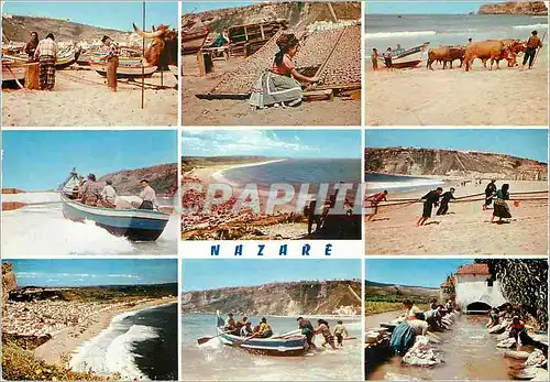 Cartes postales moderne F 351 nazare