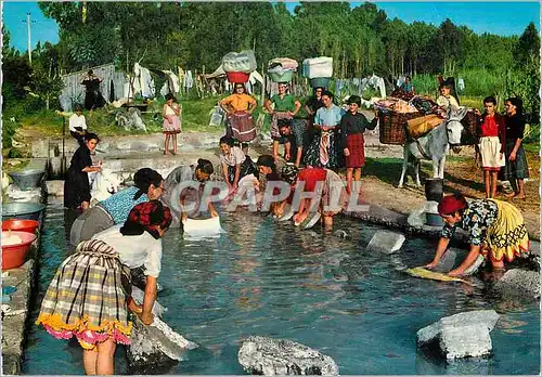 Cartes postales moderne 755 179 nazare lavant le linge coutume typique