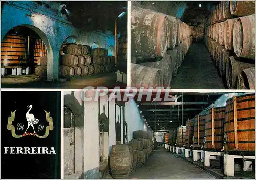 Cartes postales moderne 10 porto portugal