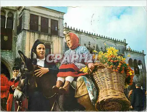 Cartes postales moderne Sintra des paysans de la region Ane Donkey