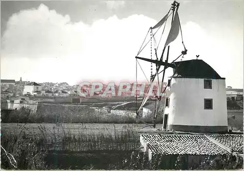 Cartes postales moderne 10 peniche portugal moulin du port de la lumiere