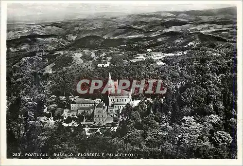 Cartes postales moderne 253 portugal bussaco floresta e palace hotel