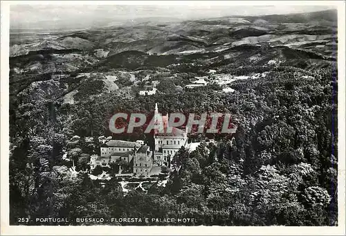 Moderne Karte 253 portugal bussaco floresta e palace hotel