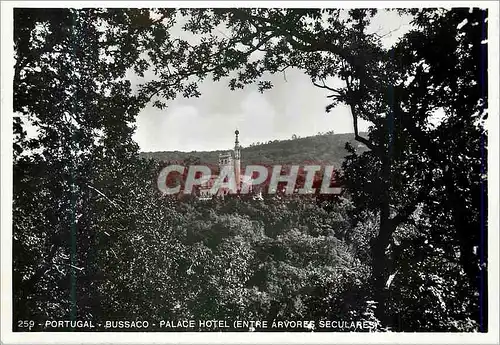 Moderne Karte 259 portugal bussaco palace hotel(entre arvores seculares)