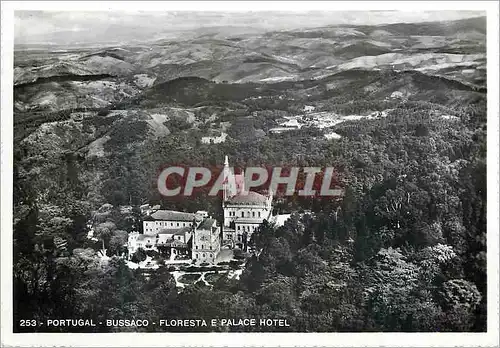 Cartes postales moderne 253 portugal bussaco floresta e palace hotel