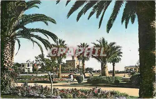 Cartes postales moderne 111 portugal parque do estoril