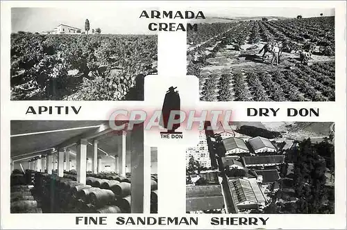 Cartes postales moderne Armada Cream Dry Bon Fine Sandeman Sherry