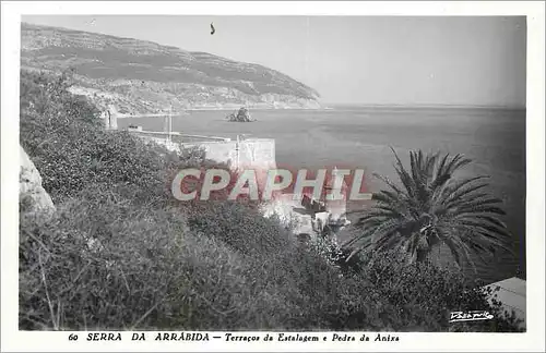 Cartes postales moderne 60 sedra da arrabida terracos da estalagem e pedra da anixa