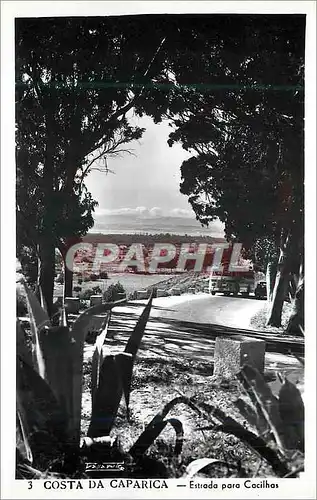 Cartes postales moderne 3 costa da caparica estrada para cocilhas