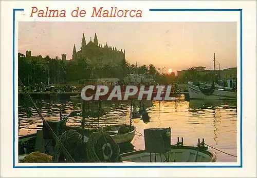 Cartes postales moderne Palma de mallorca catedral