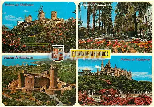 Cartes postales moderne Palma de mallorca(baleares) espana