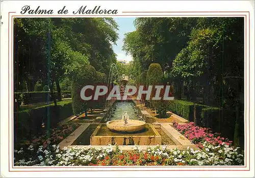 Cartes postales moderne Mallorca(baleares) espana palma jardines de s hort de rei