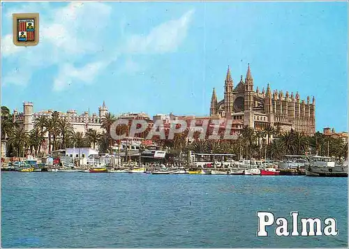 Cartes postales moderne N 2885 palma de mallorca cathedrale et la lonja