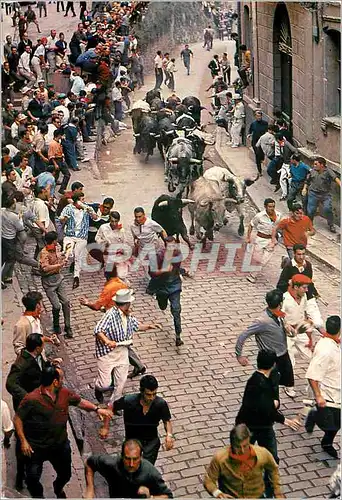 Cartes postales moderne Pamplona Fetes de San Firmin L'Enclos