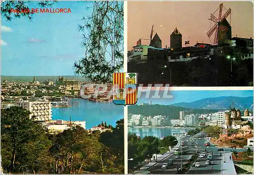 Cartes postales moderne 10093 paseo maritimo palma de mallorca