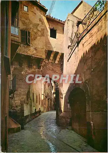 Cartes postales moderne Mallorca(baleares) espana palma