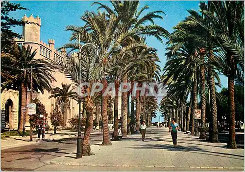 Cartes postales moderne 1133 mallorca palma avenue sagrero