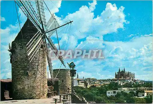 Cartes postales moderne Palma maliarca moulin jonquet et cathedrale