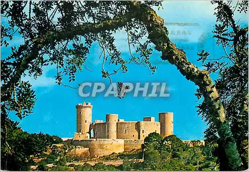 Cartes postales moderne Mallorca(baleares) espana palma