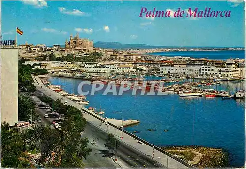 Cartes postales moderne 122 palma de mallorca vista desde el paseo maritimo