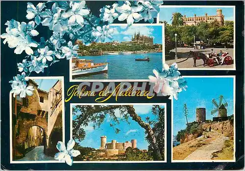 Cartes postales moderne Palma de mallorca(baleares) espana