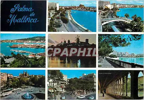 Cartes postales moderne Palma de mallorca