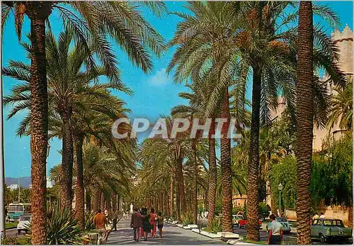 Cartes postales moderne Palma de mallorca n 1 073 avenue de sagrera