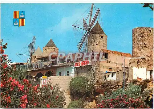 Cartes postales moderne 15 041 es jonquet Palma de mallorca