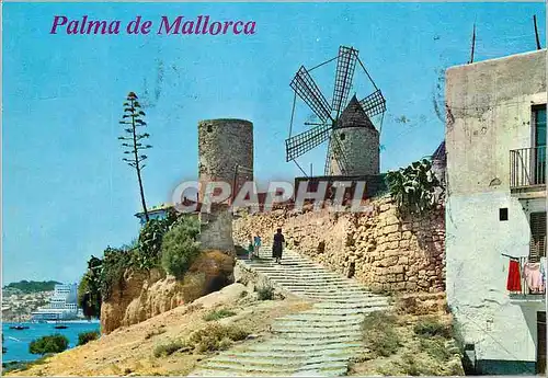 Cartes postales moderne Mallorca(baleares) espana palma molinos de el jonquet