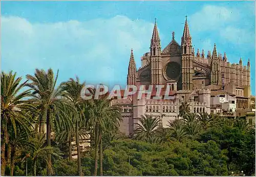 Moderne Karte Mallorca(baleares) espana palma la catedral