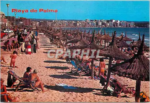 Cartes postales moderne 5146 playa palma de mallorca