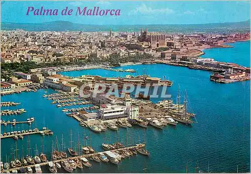 Cartes postales moderne Mallorca(baleares) espana palma