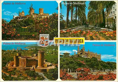 Cartes postales moderne Palma de mallorca(baleares) espana