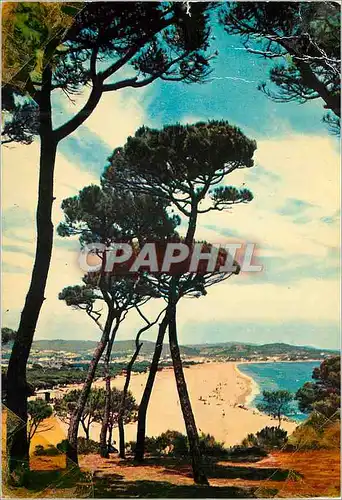 Cartes postales moderne Playa de aro(costa brava) pinede au fond la plage