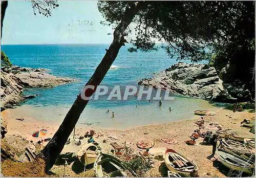 Cartes postales moderne Playa de aro(costa brava)