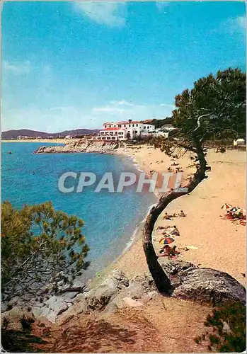 Cartes postales moderne Playa de aro(costa brava) detail de la plage