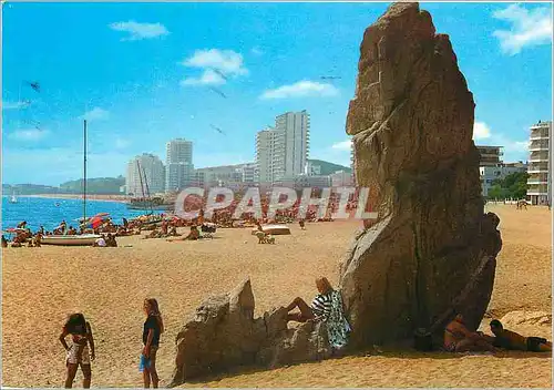 Cartes postales moderne Playa de aro(costa brava) n 1064 playa de aro cavall bernat