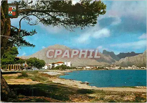 Cartes postales moderne Mallorca puerto pollensa vue partielle