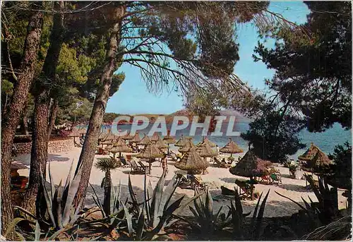 Cartes postales moderne Mallorca(baleares) espana pollensa