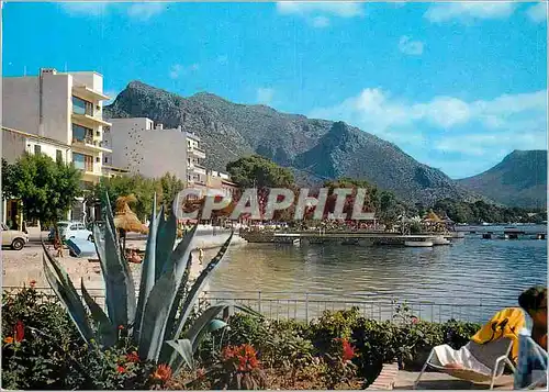 Cartes postales moderne Puerto de pollensa mallorca