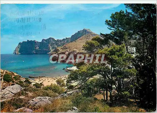 Cartes postales moderne Mallorca(baleares) espana pollensa