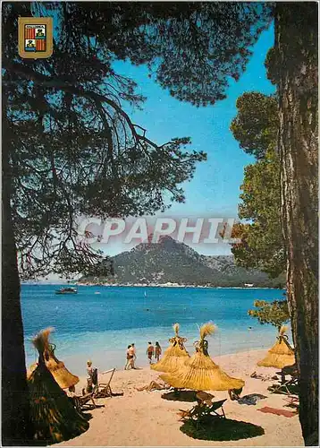 Cartes postales moderne Mallorca(baleares) espana pollensa