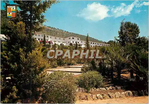 Cartes postales moderne Mallorca pollensa n 1545