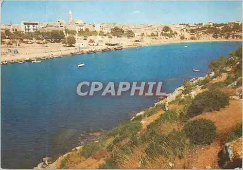 Cartes postales moderne Mallorca porto cristo