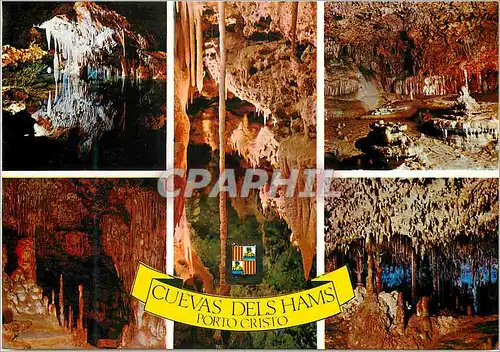 Cartes postales moderne Mallorca porto cristo n 2195