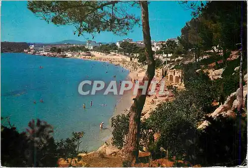 Cartes postales moderne Mallorca porto cristo